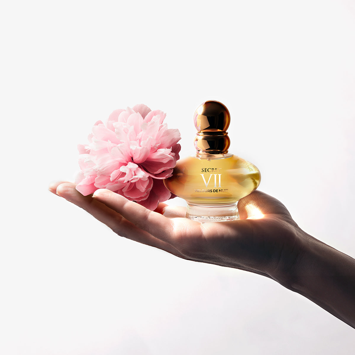 SECRET VII VELOURS DE NUIT