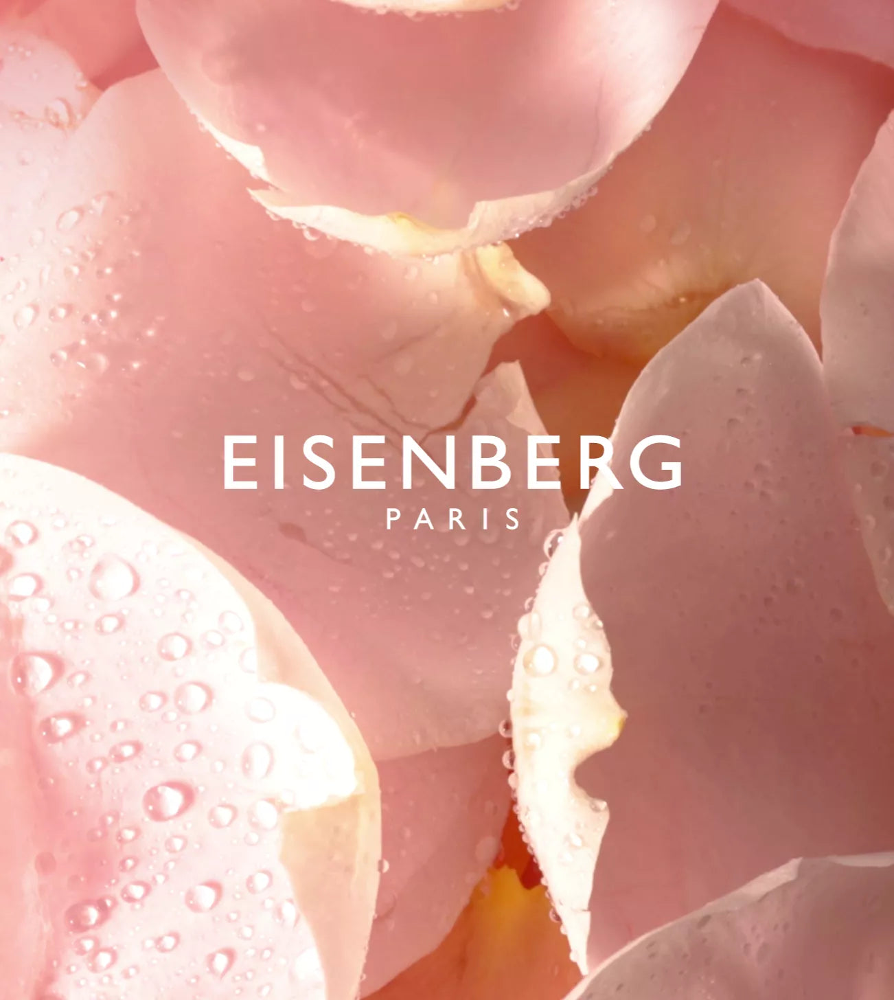 videowise-widget-67f3ea5b531b2b00577badd6-7932154183893