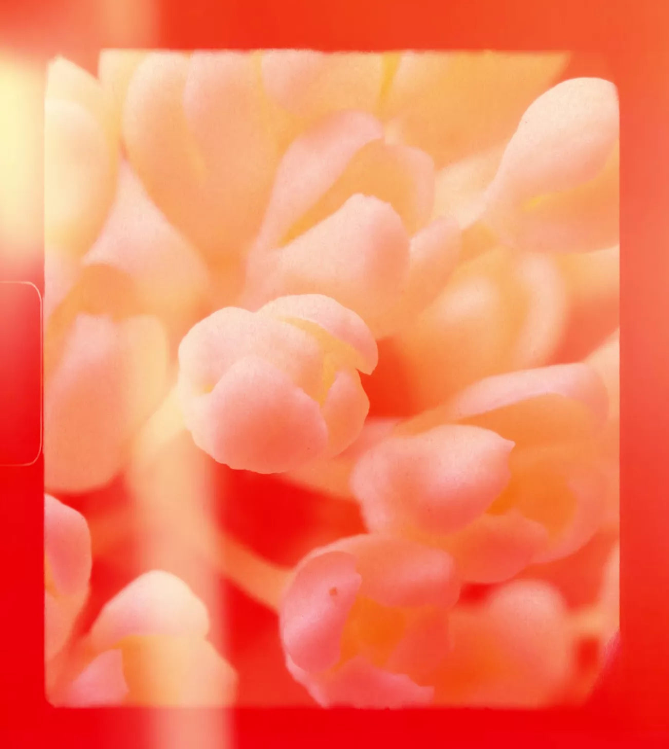 videowise-widget-67f3ee67531b2b00577be37c-7932153528533