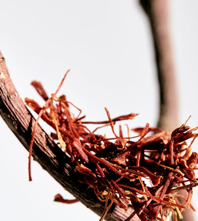 SECRET I PALISSANDRE NOIR