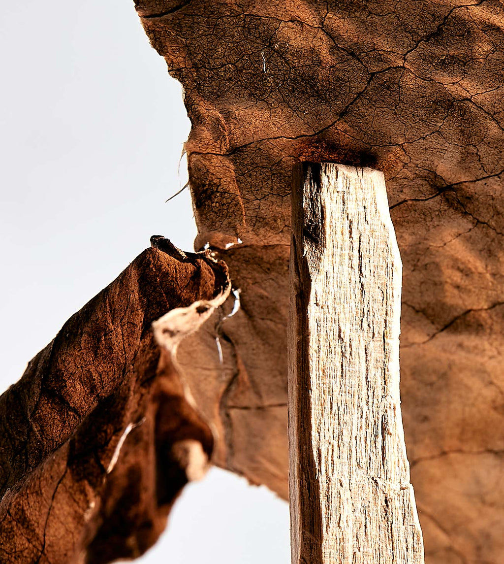 SECRET II BOIS PRÉCIEUX