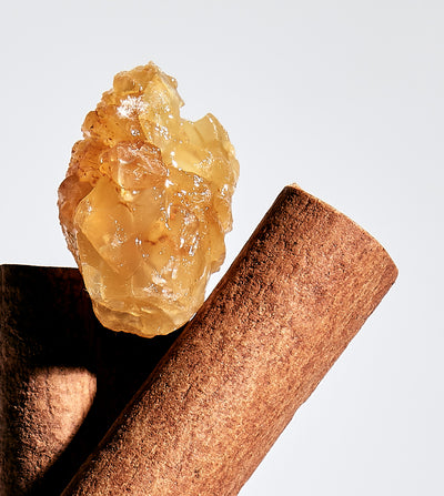 SECRET V AMBRE D'ORIENT