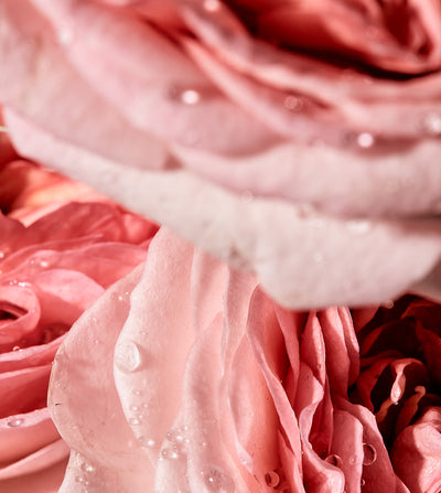 SECRET I ROSE TALISMAN