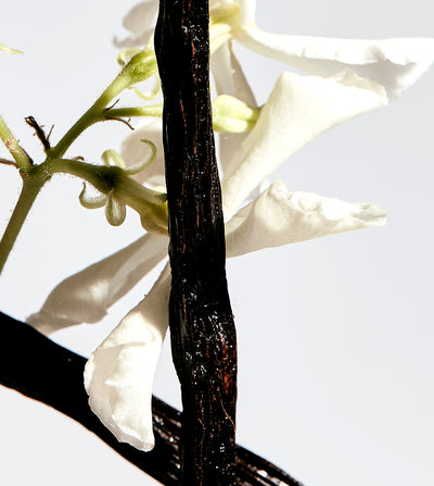 SECRET II JARDIN DES SENS