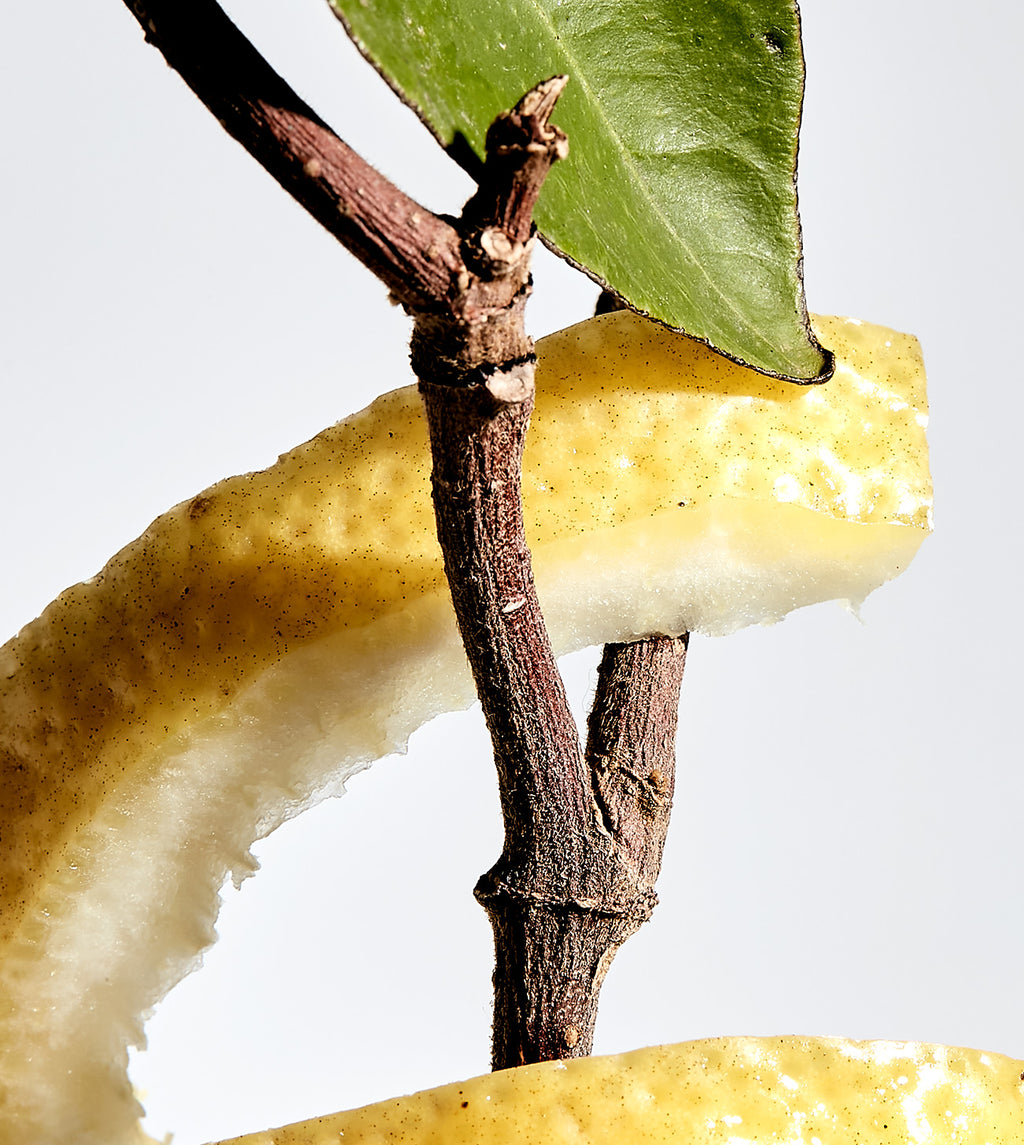 SECRET IV RITUEL D'ORIENT