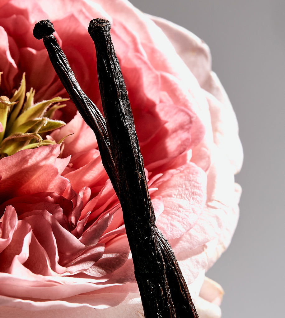 SECRET VII VELOURS DE NUIT