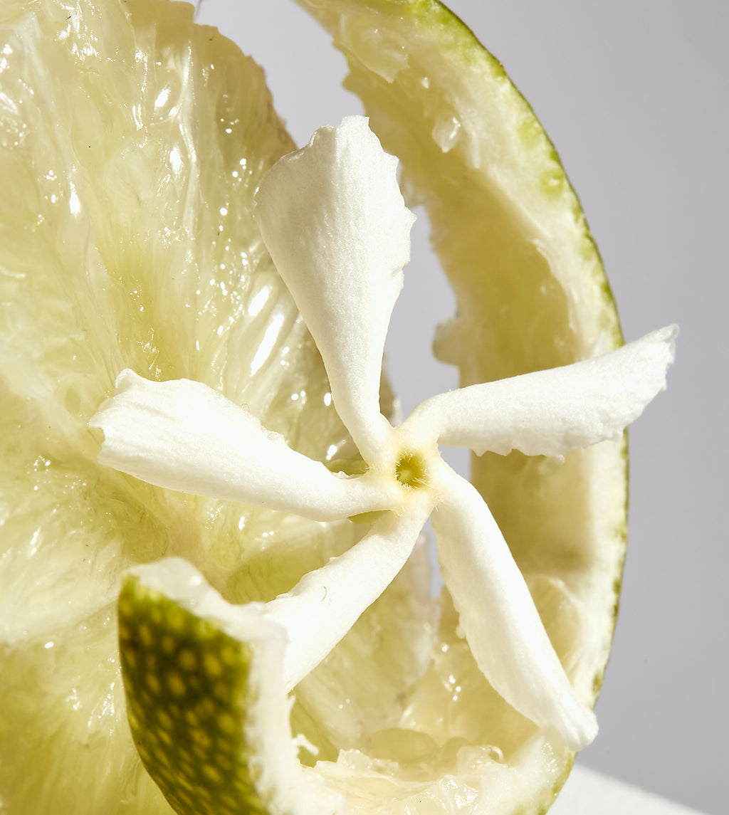 SECRET VII ÉCHO LUMINEUX