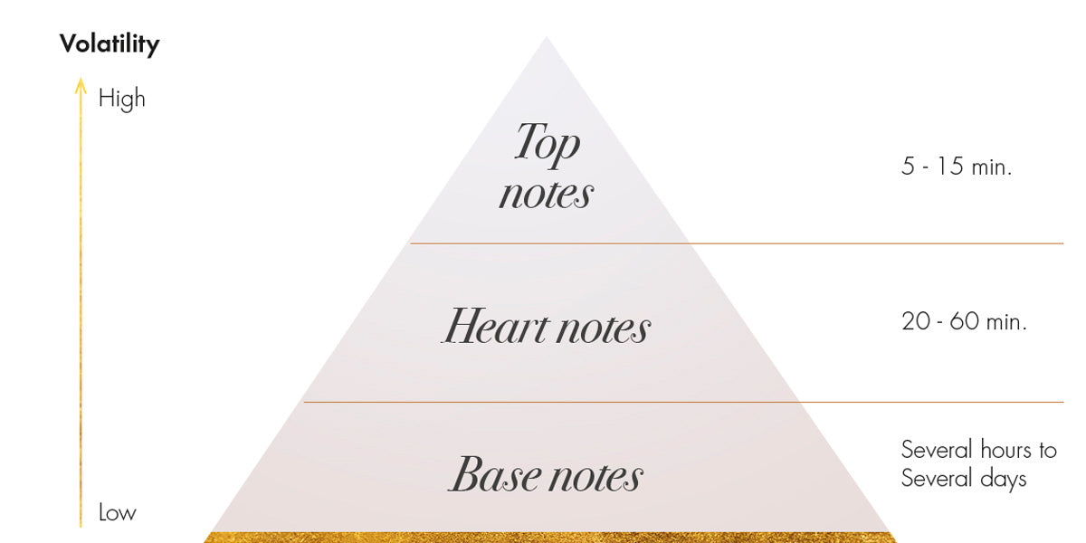 The Olfactory Pyramid | Understanding Fragrance Composition – EISENBERG ...