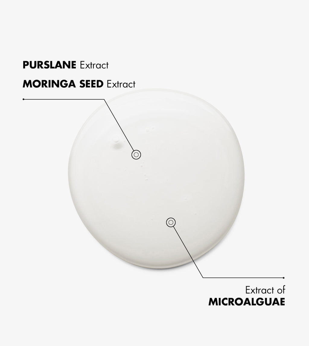 SOIN OIL-FREE ÉQUILIBRANT