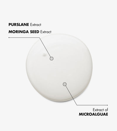 SOIN OIL-FREE ÉQUILIBRANT