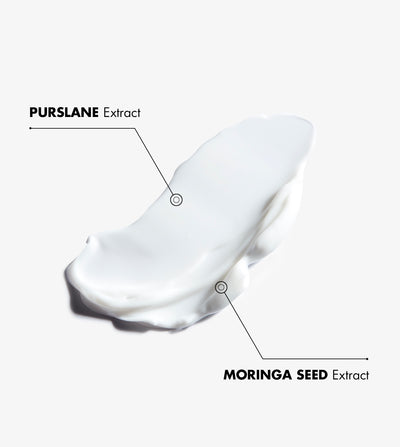 DÉFENSE ANTI-POLLUTION