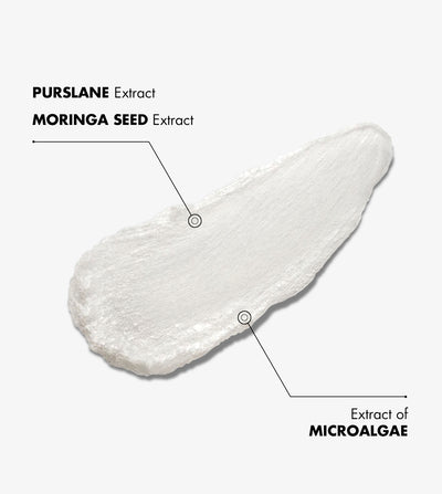 MASQUE NETTOYANT ÉQUILIBRANT